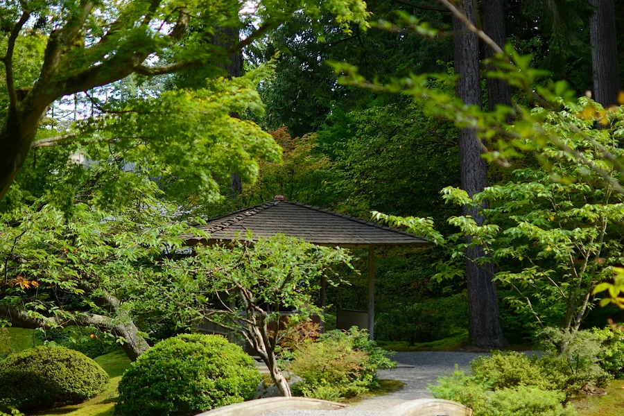 Small bridge over a pond in a quiet park