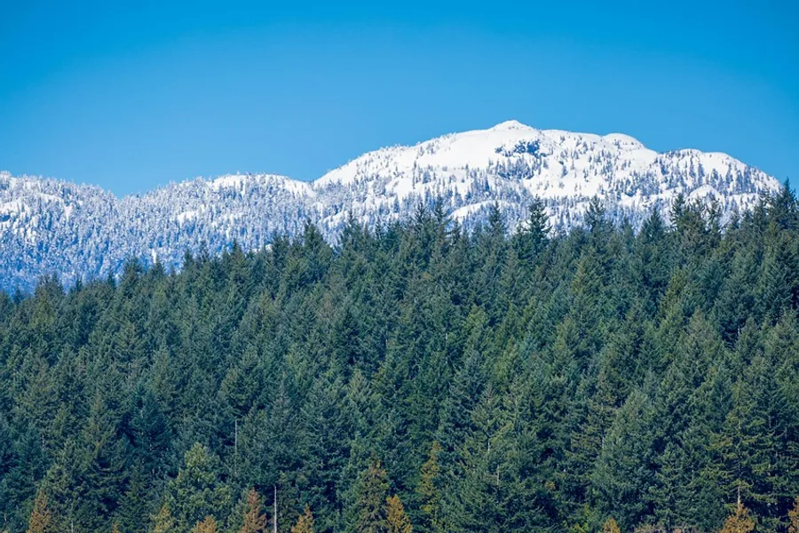 Snowy mountain above forest and water near Port Moody