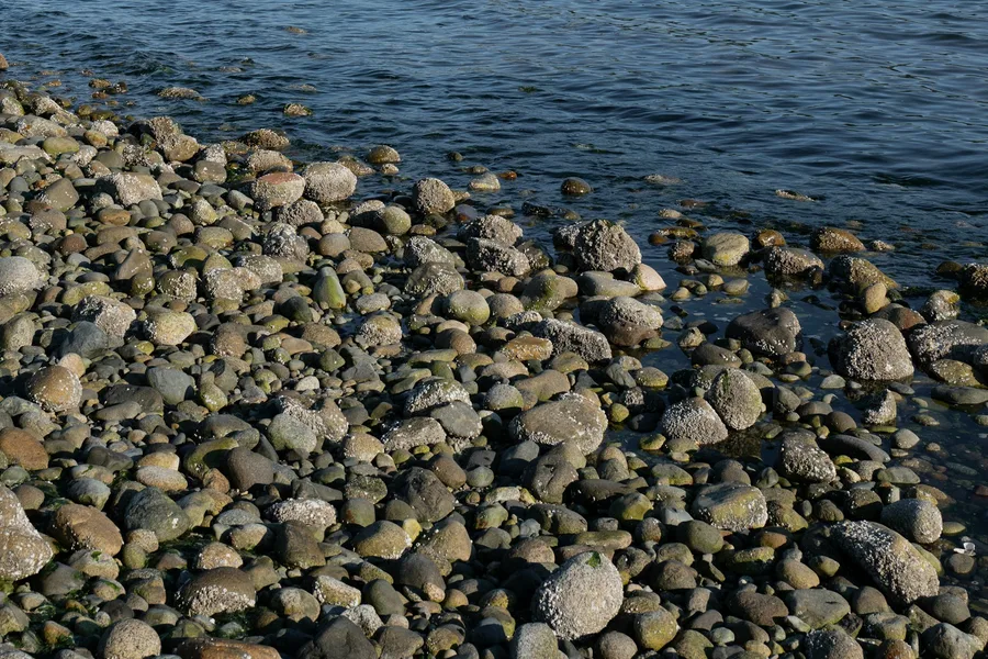 View of a bridge over water near West Vancouver