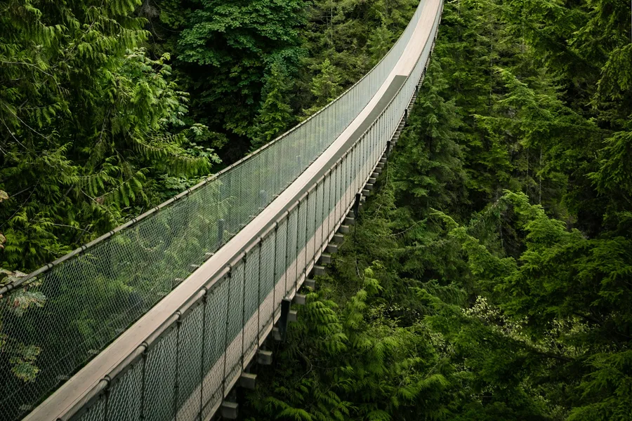 Forest bridge surrounded by trees in West Vancouver