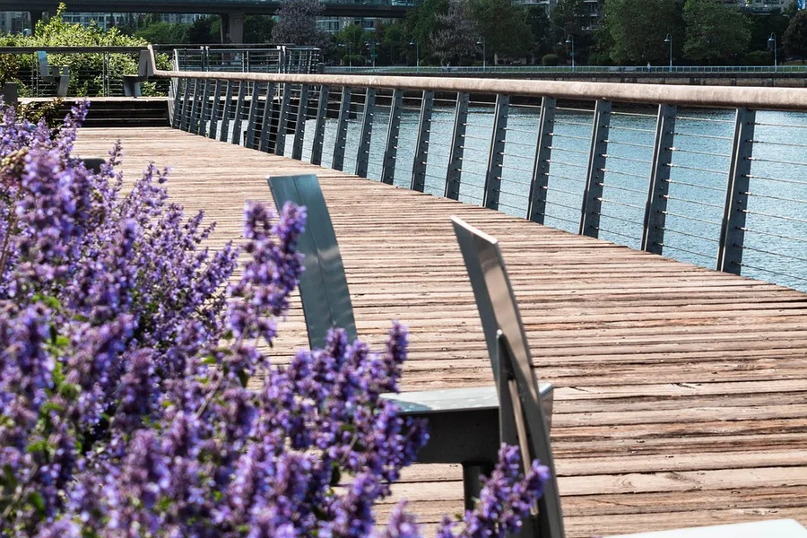 Yaletown waterfront park with high-rise buildings and a boardwalk
